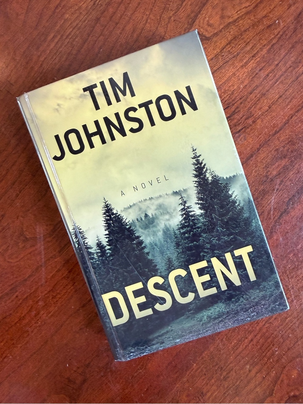 Descent hardcover book by Tim Johnston